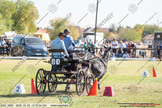 Mintakép 20261003-405