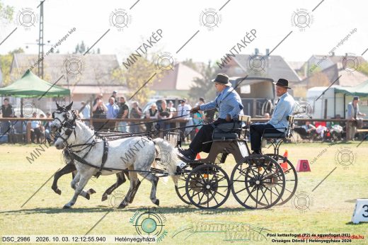 Mintakép 20261003-408