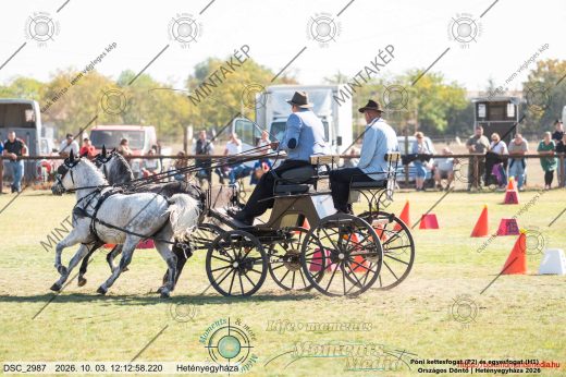 Mintakép 20261003-409