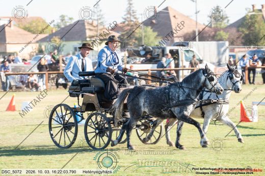 Mintakép 20261003-431