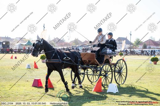 20261003-100100-DSC_2104.jpg