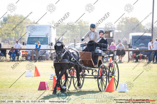 20261003-100135-DSC_2109.jpg