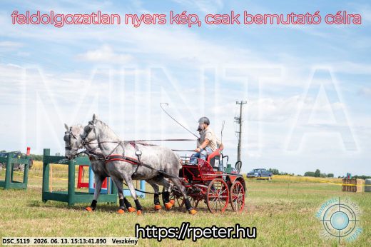 Mintakép 20260613-181