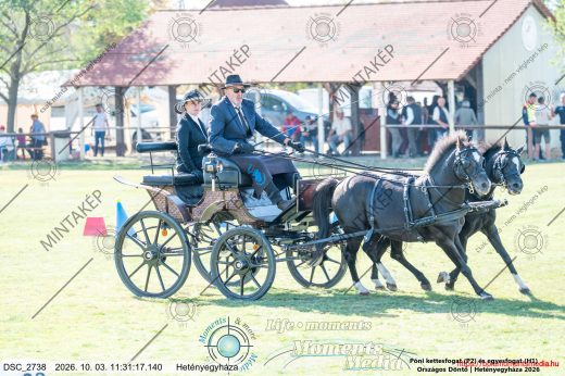 Mintakép 20261003-483
