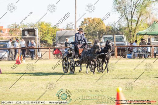 Mintakép 20261003-497