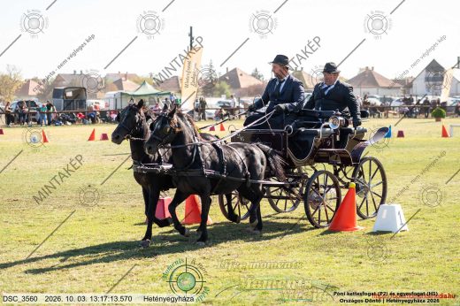 20261003-131713-DSC_3560.jpg
