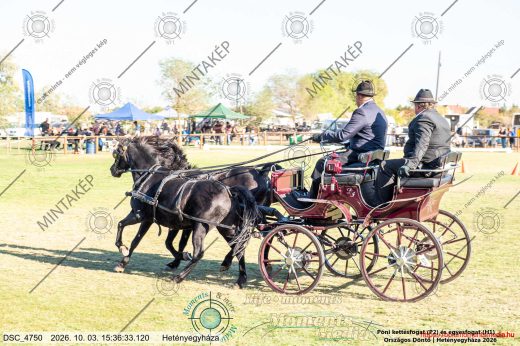 Mintakép 20261003-527