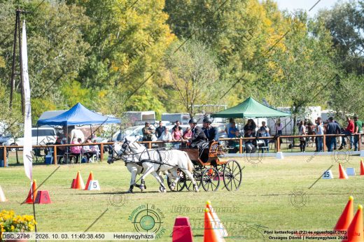 20261003-114038-DSC_2798.jpg