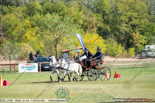 20261003-114042-DSC_2799.jpg