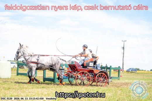 Mintakép 20260613-182
