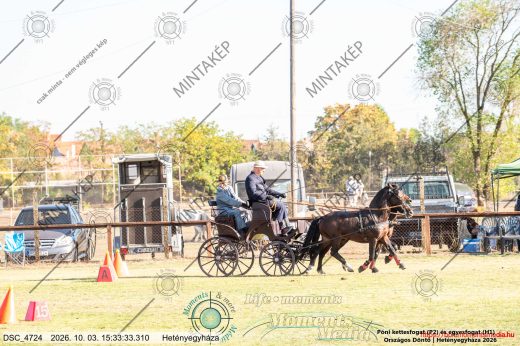 Mintakép 20261003-612
