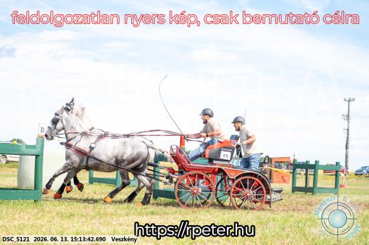 Mintakép 20260613-183