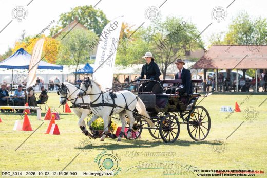 20261003-121636-DSC_3014.jpg