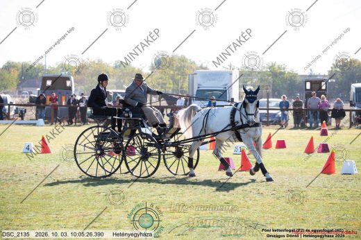 20261003-100526-DSC_2135.jpg