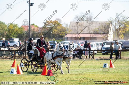 20261003-130020-DSC_3461.jpg