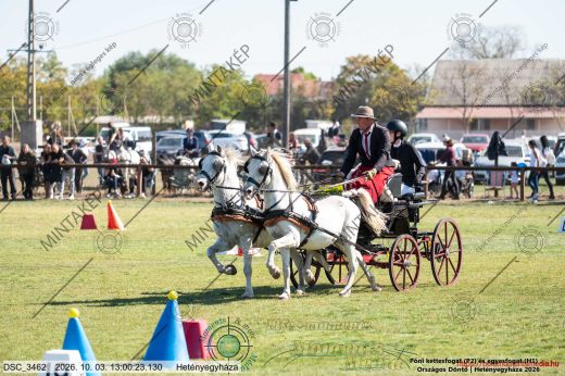 20261003-130023-DSC_3462.jpg