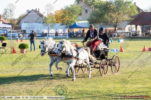 Mintakép 20261003-830