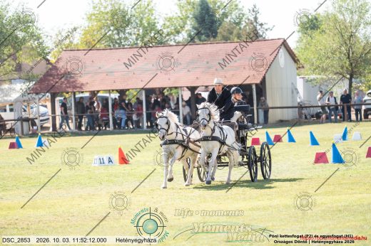 Mintakép 20261003-894