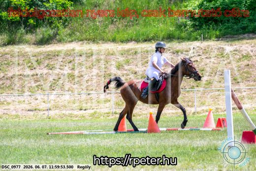 Mintakép 20260607-274