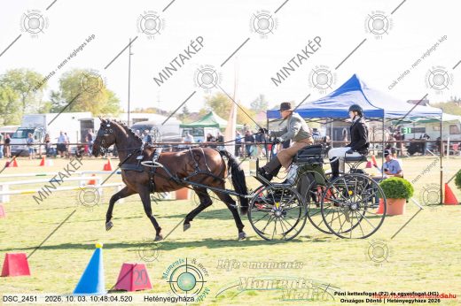 20261003-104804-DSC_2451.jpg