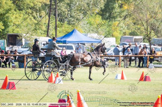 20261003-104835-DSC_2455.jpg
