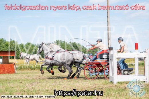 Mintakép 20260613-186