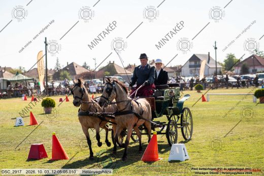 20261003-120505-DSC_2917.jpg
