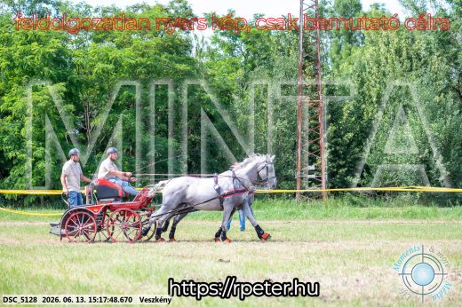 Mintakép 20260613-187