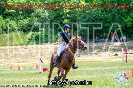 Mintakép 20260607-290