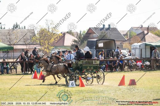 Mintakép 20261003-1075