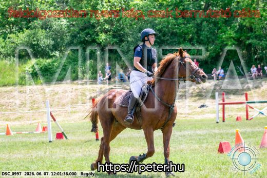 Mintakép 20260607-291