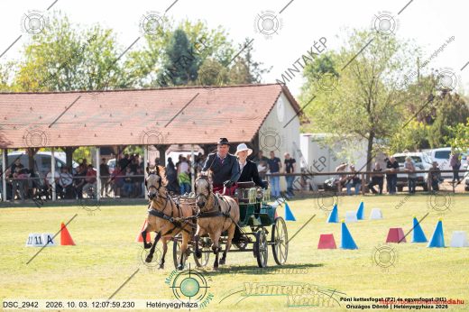 Mintakép 20261003-1083