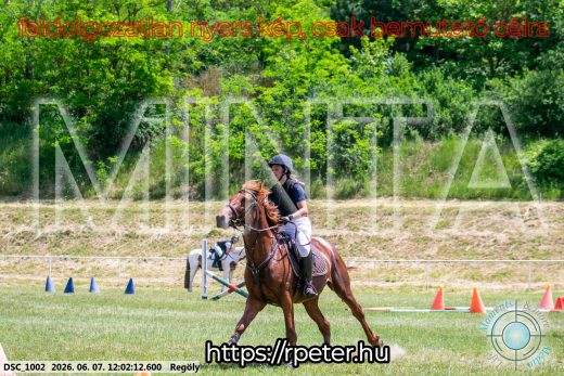Mintakép 20260607-293