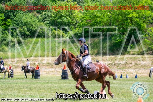 Mintakép 20260607-295