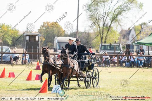 20261003-122914-DSC_3135.jpg