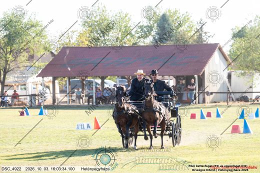 Mintakép 20261003-1173