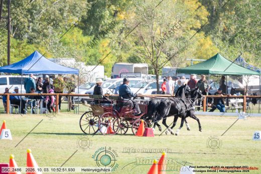 20261003-105251-DSC_2486.jpg