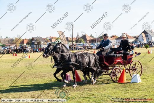 Mintakép 20261003-1230