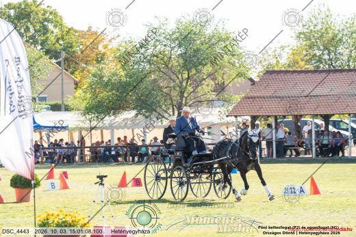 Mintakép 20261003-1267