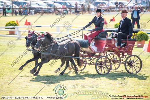 20261003-115757-DSC_3477.jpg