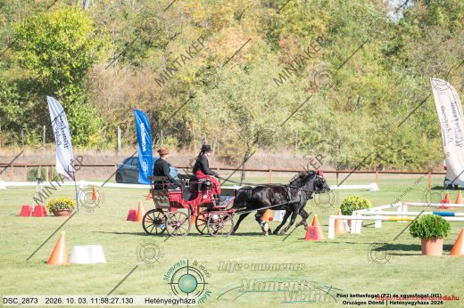 20261003-115827-DSC_2873.jpg