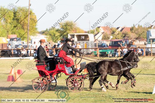 Mintakép 20261003-1370