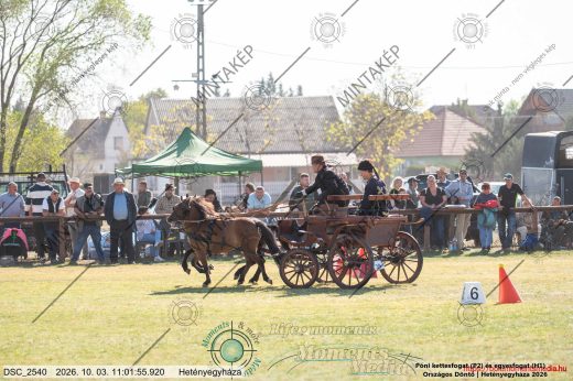 Mintakép 20261003-1484
