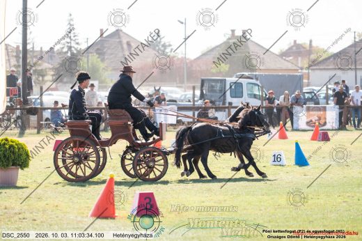 Mintakép 20261003-1493