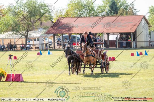 Mintakép 20261003-1497
