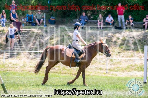 Mintakép 20260607-335