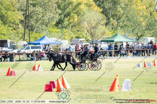 20261003-113300-DSC_2750.jpg