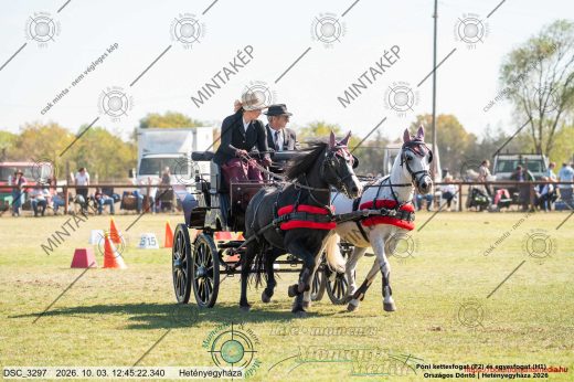 20261003-124522-DSC_3297.jpg