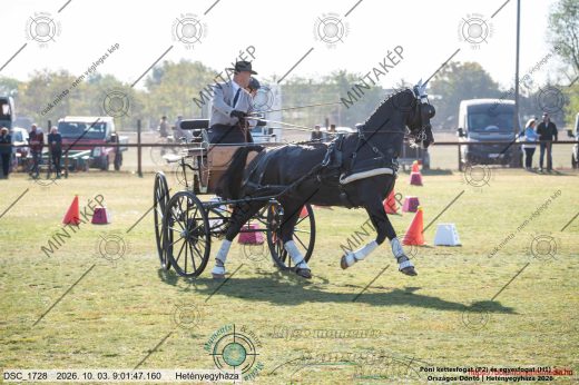 20261003-090147-DSC_1728.jpg