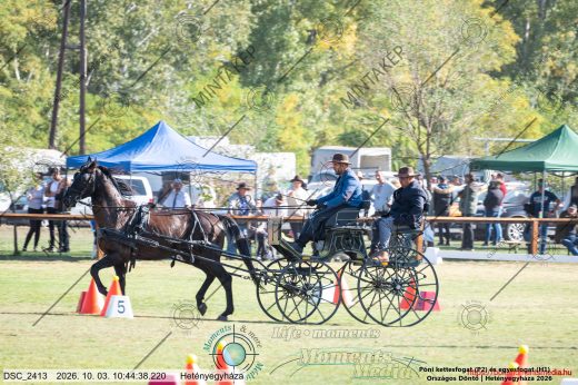 20261003-104438-DSC_2413.jpg